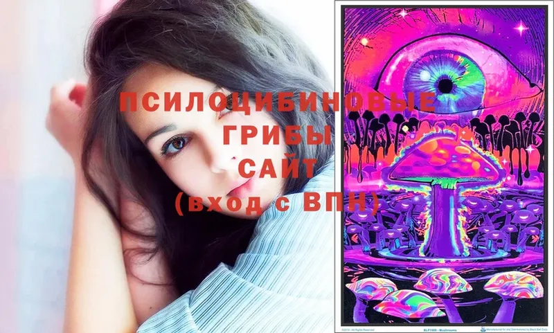 omg ONION  Емва  Псилоцибиновые грибы Magic Shrooms 